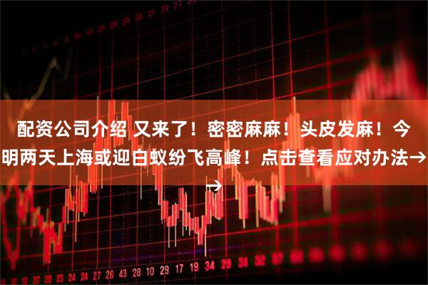 配资公司介绍 又来了！密密麻麻！头皮发麻！今明两天上海或迎白蚁纷飞高峰！点击查看应对办法→